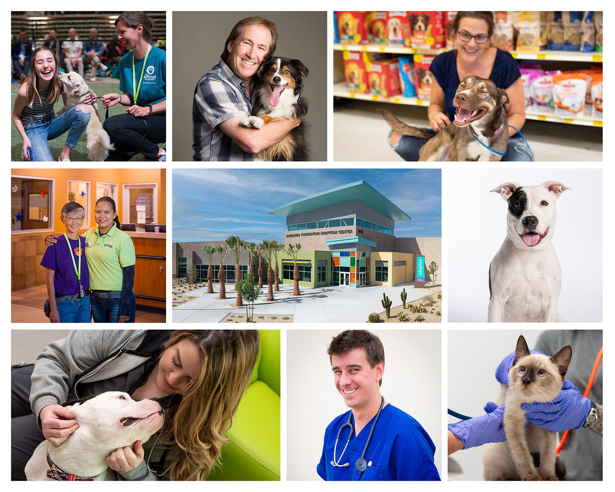 Business Marketing Image collage of commercial marketing photos for The Animal Foundation in Las Vegas dogs smiling cat vets by Tampa photographer Sidney Oster