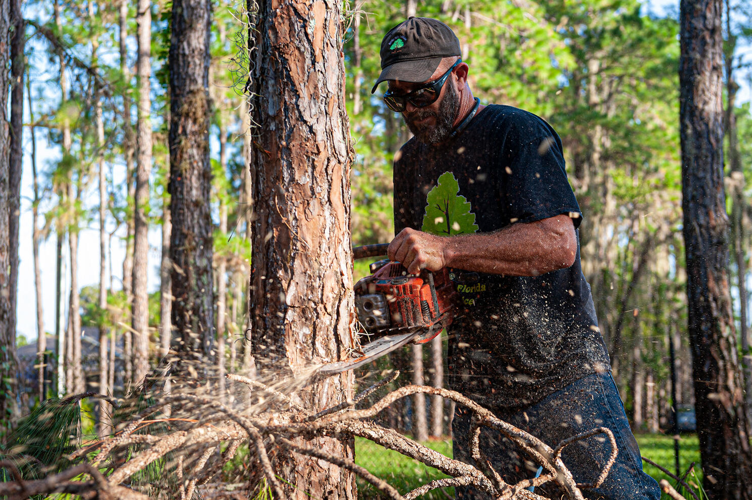 Commercial Photography Man from Moore Cuts Florida cutting down pine tree with chain saw with wood chips flying towards the camera by Tampa photographer Sidney Oster